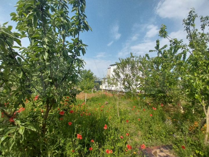 Участок 4 сот. (СНТ, ДНП)