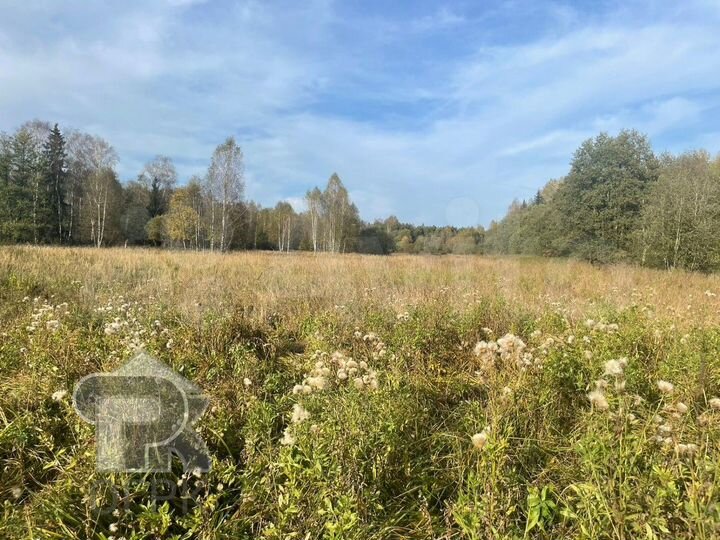 Участок 1,2 га (СНТ, ДНП)