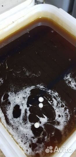 Мёд оптом свежий лесной