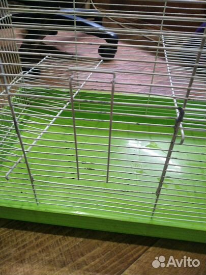 Клетка для грызунов бу