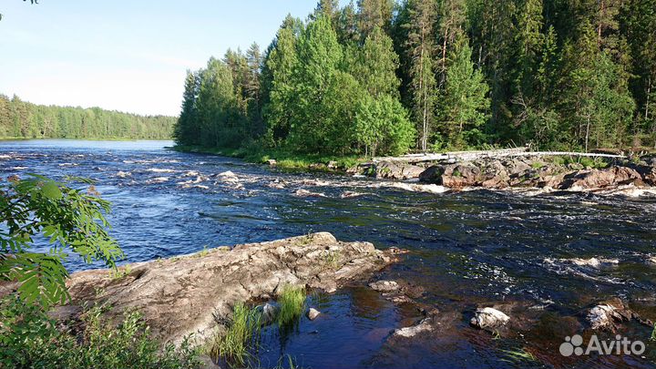 Сплав по реке Шуя (Южная Карелия) на байдарках