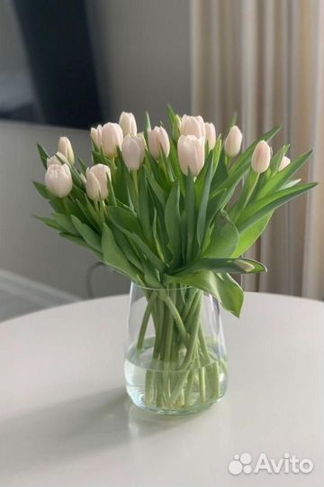 Тюльпаны к 8 марта розница