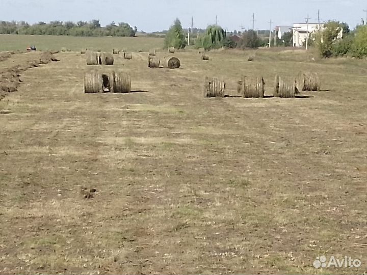 Продам сено в рулонах