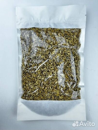 Расторопша / Семена расторопши