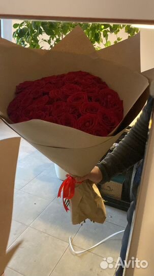 51 роза. 75 роз. 101 роза. Красная роза