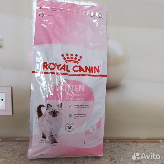 Корм для котят royal canin