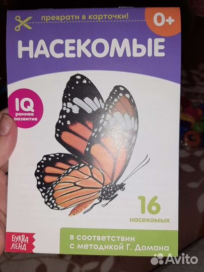 Обучающие карточки Г. Домана «Насекомые»