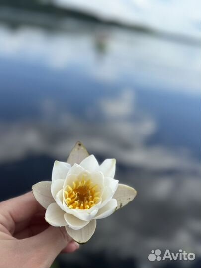 Аренда лодки