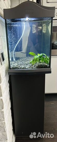 Аквариум Tetra 60 литров