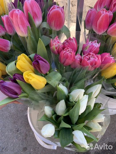 Тюльпаны к 8 марта