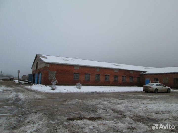 Продается с/х производство в Московской области