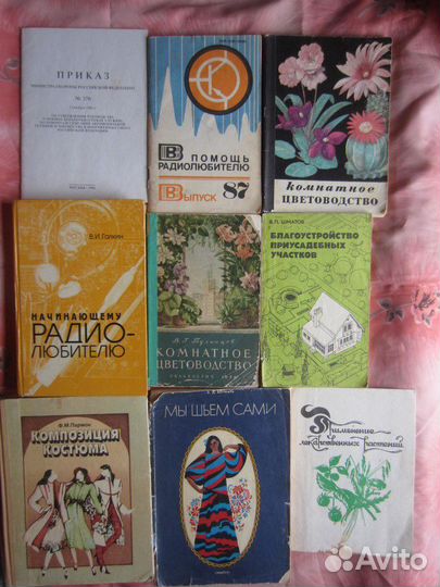 О. Форш. Одеты камнем. Михайловский замок. 1988 г