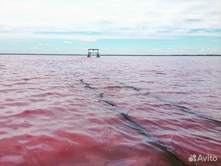 Соль рапа (Алтай).Суставы Кожа Целлюлит Сон Экзема