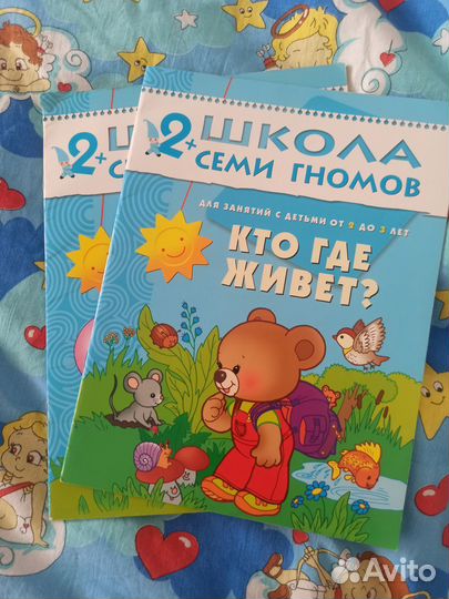 Школа семи гномов