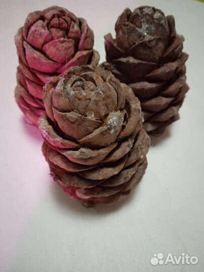 Кедровые шишки с орехами