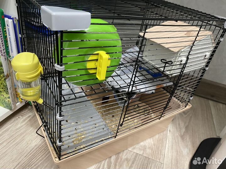 Продам хомяка с клеткой