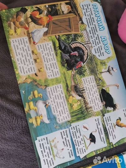 Книжки для детей