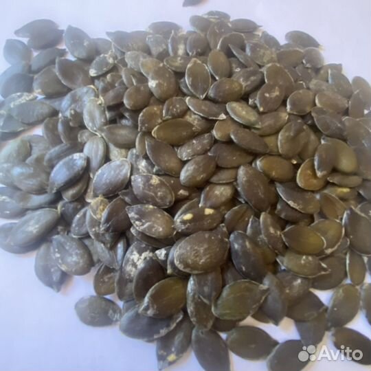 Штирийские семечки тыквы