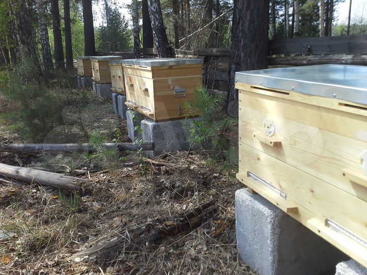 Участок 6,27 га (СНТ, ДНП)