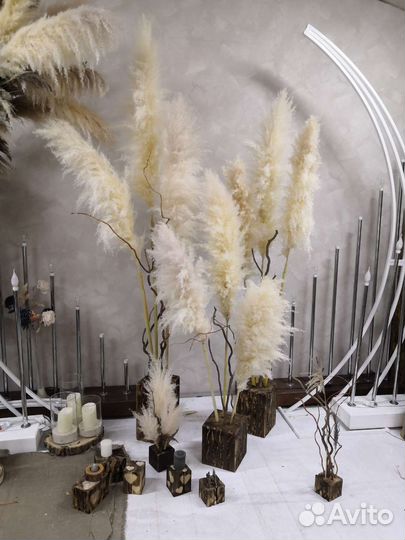 Пампасная трава (отборные ), сборка композиций