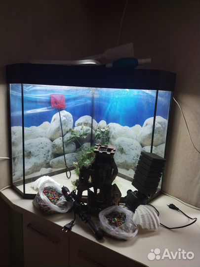 Аквариум для рыб