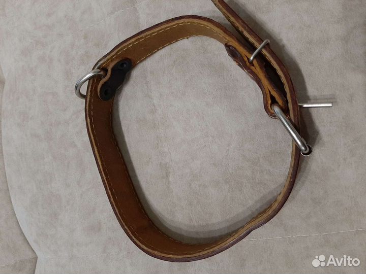 Ошейник для животных