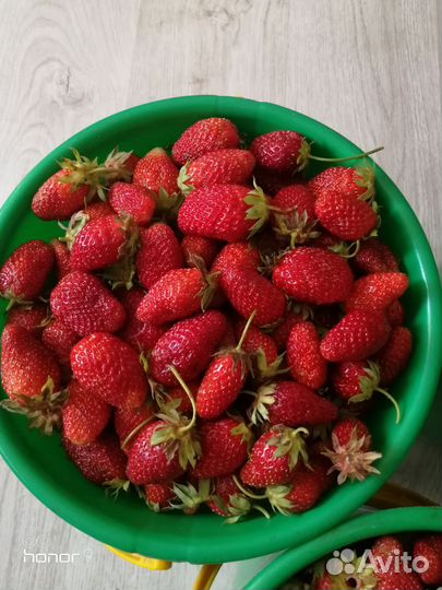 Ягода Клубника Земляника Виктория