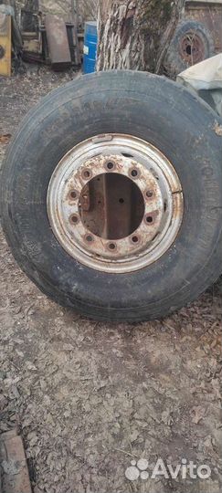 Accelera 651 12.00/20 R12