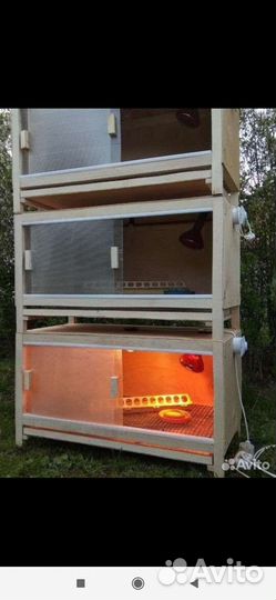 Брудер для цыплят (клетка)