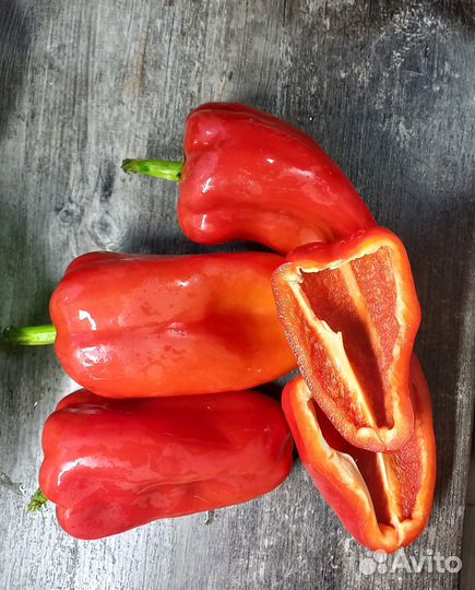 Семена сладкого перца