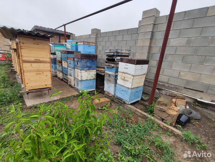 Каркасные улия для пчёл