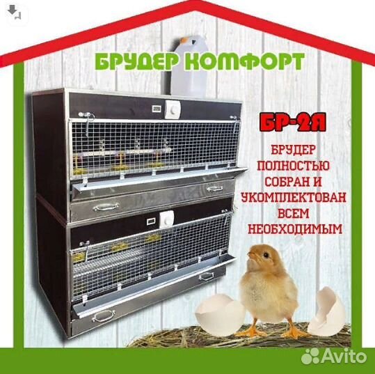 Брудер для цыплят 2 яруса (бр-2-К)