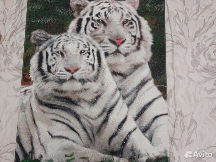 Пара тигров