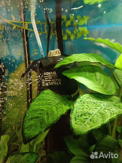 Аквариум с тумбой 120л