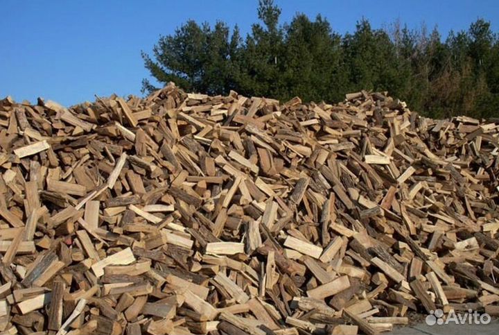 Дрова со Всеволожска