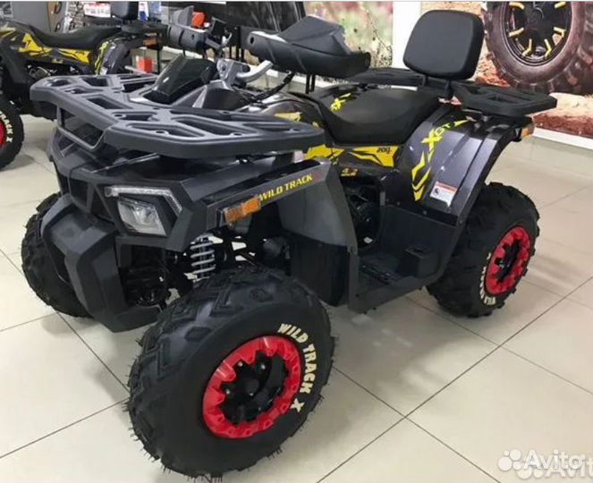 Квадроцикл Motoland Wild Track X 200 черно-красный