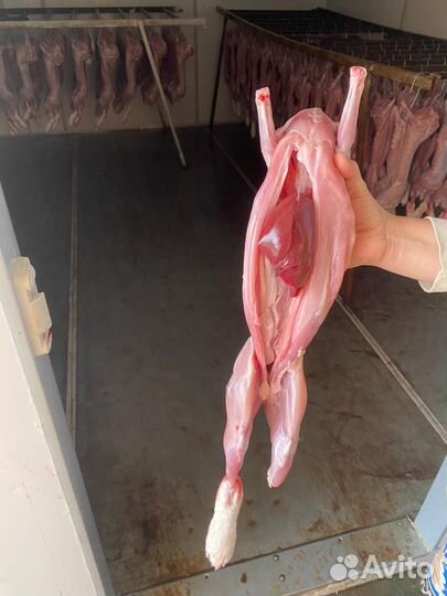 Мясо кролика