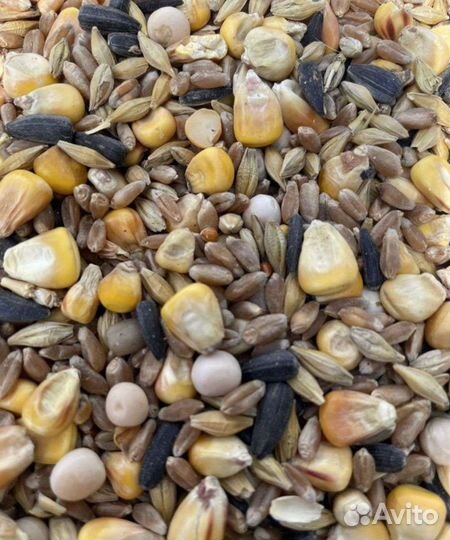 Корм для крыс, морских свинок, хомяков, птиц