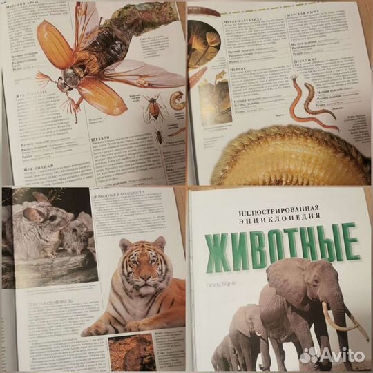 Энциклопедия животных 320 стр