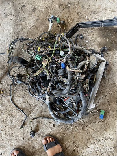 Проводка ford focus 1