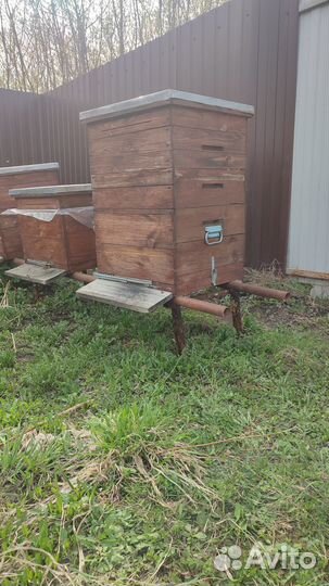 Улей для пчел