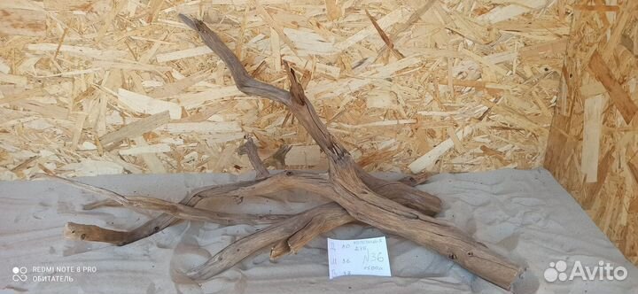 Красивые Коряжки