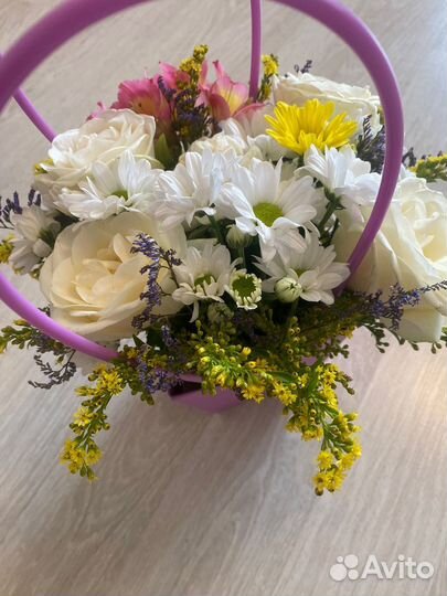 Цветы, новые