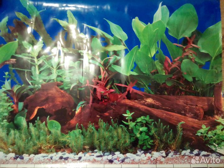 Задний фон для аквариума