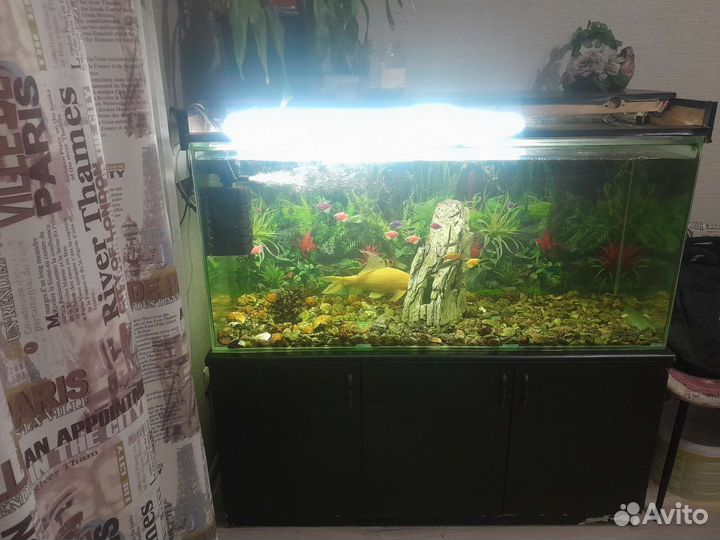 Аквариум с тумбой 400 литров