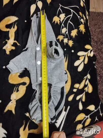 Костюм для кошки и собаки