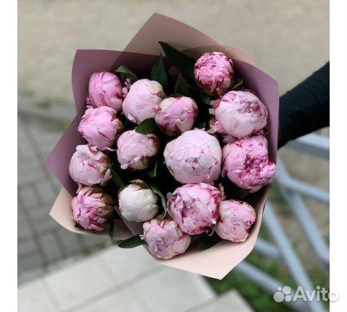 Пионы. Букет из пионов