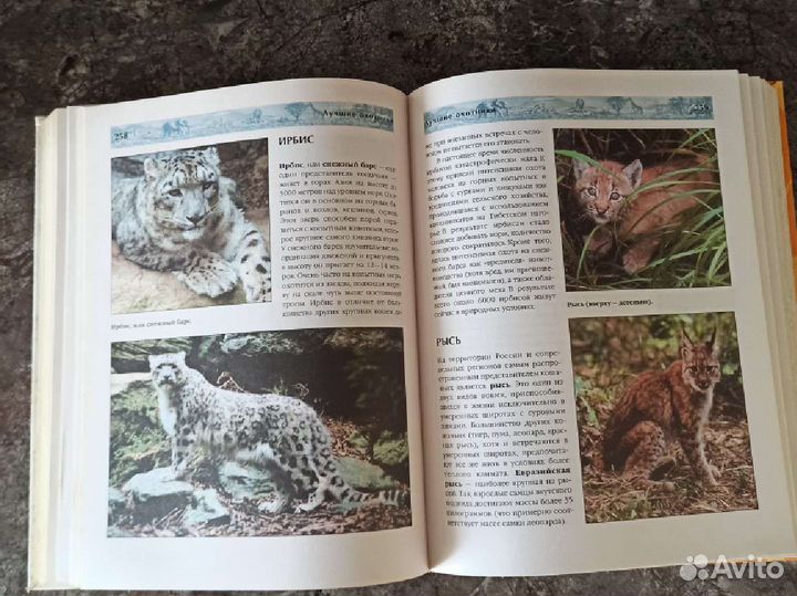 Книга - энциклопедия