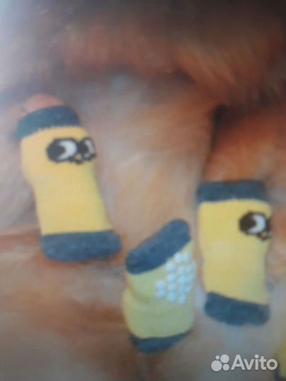 Комбез/дождевик и носочки