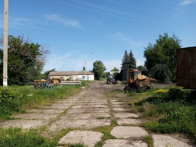 Ооо россошанская нива